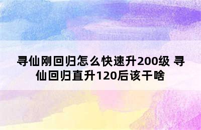 寻仙刚回归怎么快速升200级 寻仙回归直升120后该干啥